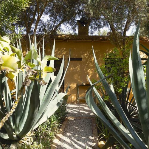 DAR AL HOSSOUN MAISON D'HOTES TAROUDANT ECO LOGDE jardin
