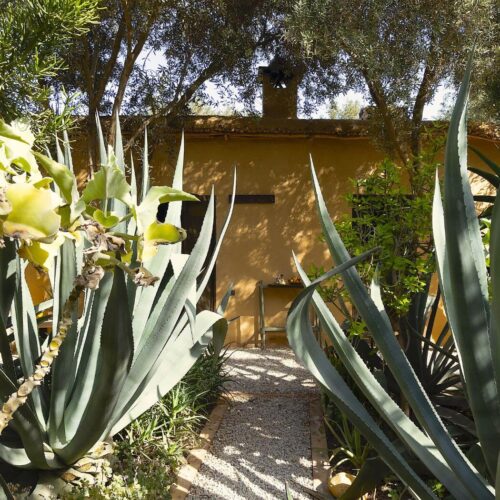 DAR AL HOSSOUN MAISON D'HOTES TAROUDANT ECO LOGDE jardin