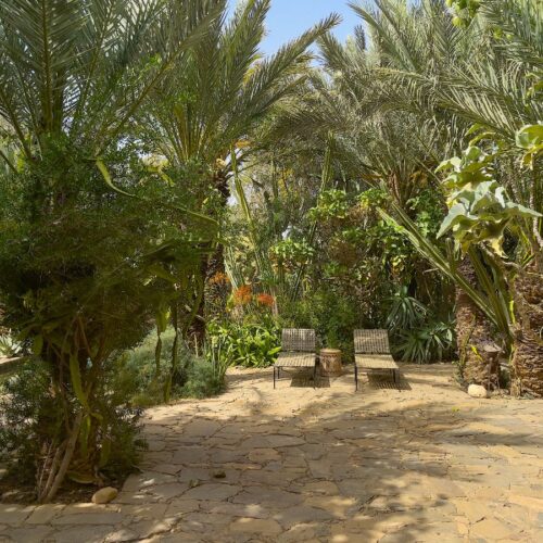 DAR AL HOSSOUN MAISON D'HOTES TAROUDANT ECO LOGDE jardin