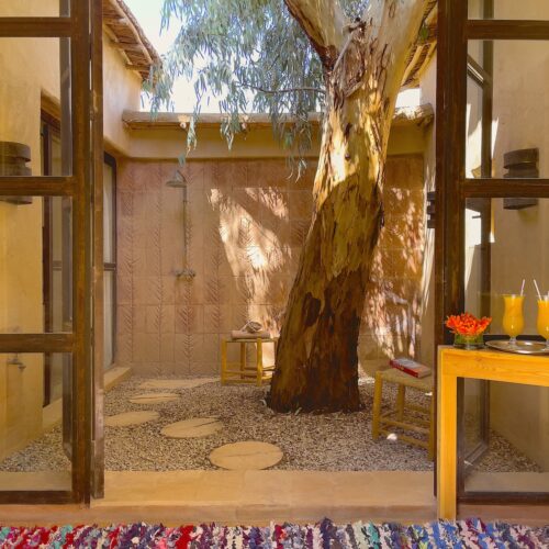 DAR AL HOSSOUN MAISON D'HOTES TAROUDANT ECO LOGDE eucalyptus