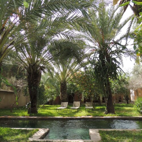 DAR AL HOSSOUN MAISON D'HOTES TAROUDANT ECO LOGDE Jardin avec piscine