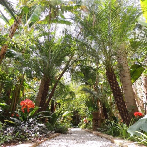 DAR AL HOSSOUN MAISON D'HOTES TAROUDANT ECO LOGDE espaces jardin