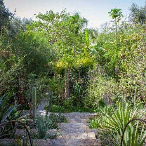 DAR AL HOSSOUN MAISON D'HOTES TAROUDANT ECO LOGDE jardin