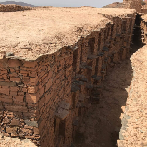 DAR AL HOSSOUN MAISON D'HOTES TAROUDANT ECO LOGDE Kasbah
