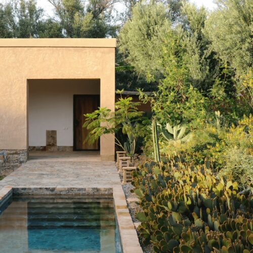 DAR AL HOSSOUN MAISON D'HOTES TAROUDANT ECO LOGDE domaine avec piscine