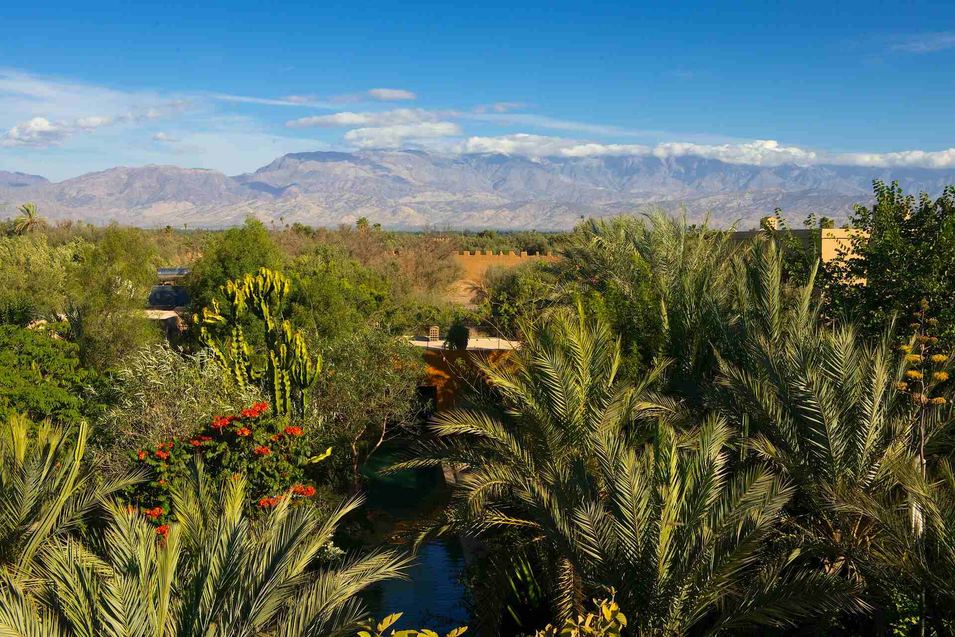 DAR AL HOSSOUN TAROUDANT jardin vue