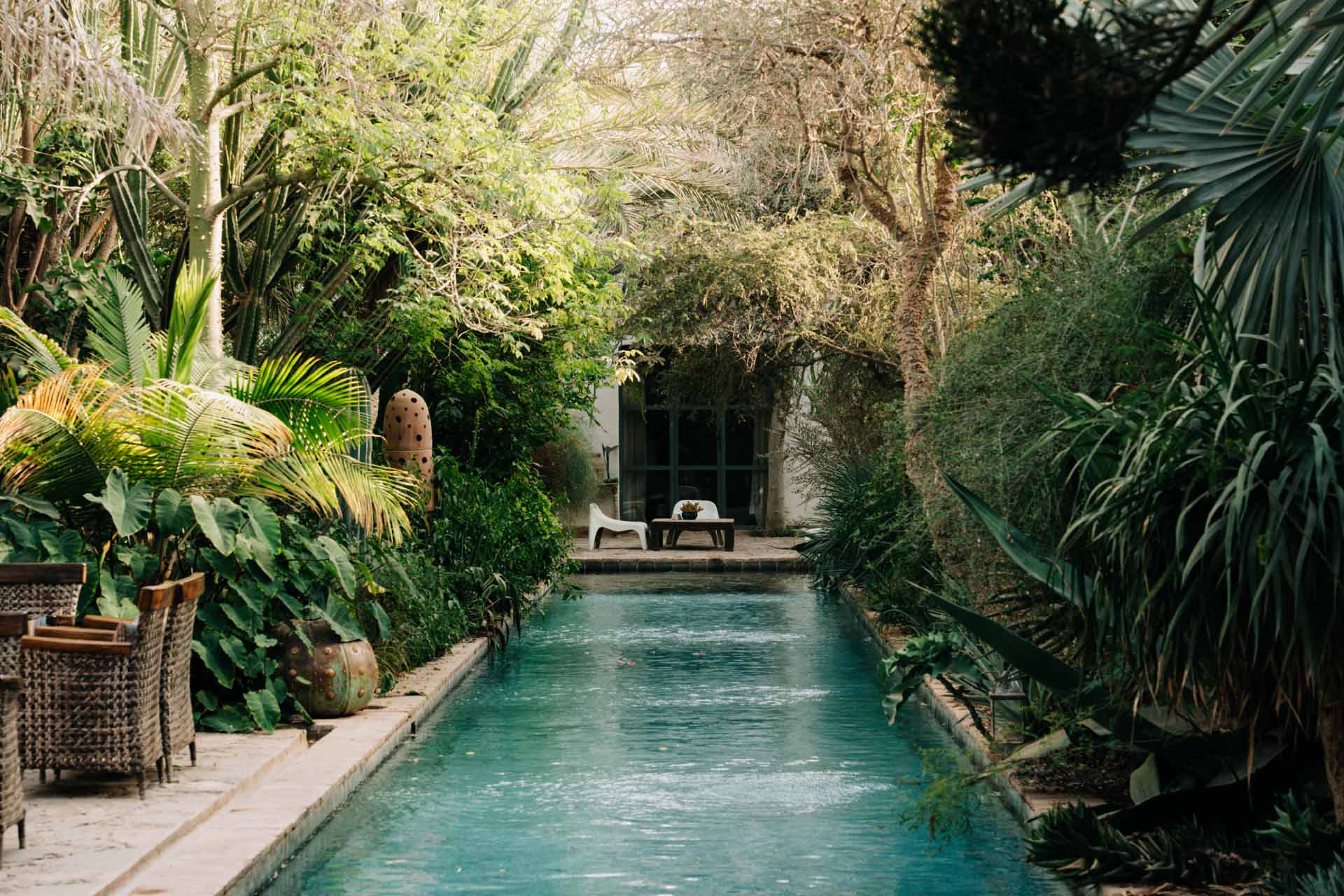 DAR-AL-HOSSOUN-TAROUDANT--piscine-de-nage