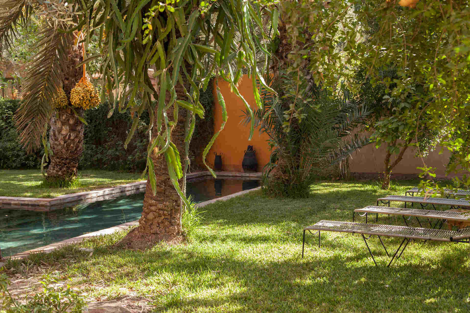 DAR EL HOSSOUN TAROUDANT jardin 4