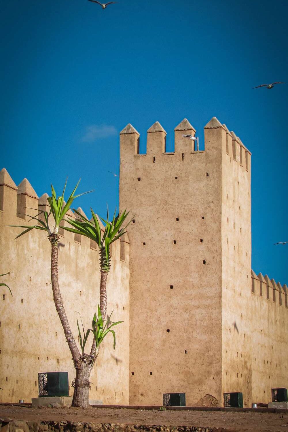 DAR EL HOSSOUN TAROUDANT excursion 1