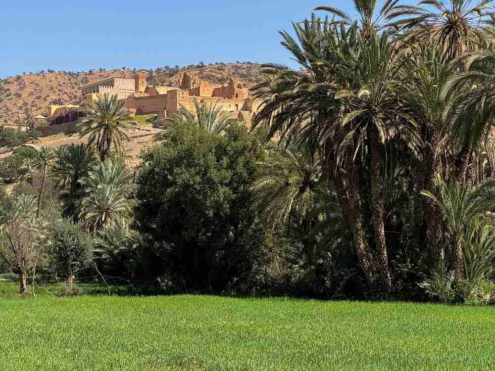 DAR EL HOSSOUN TAROUDANT excursion 2