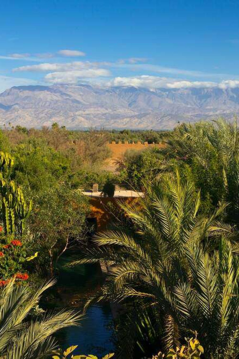 DAR EL HOSSOUN TAROUDANT jardin exotique 3