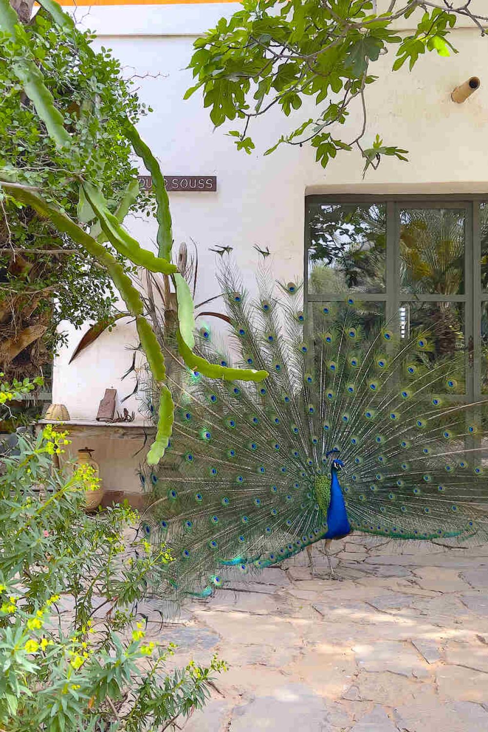 DAR EL HOSSOUN TAROUDANT la maison 1