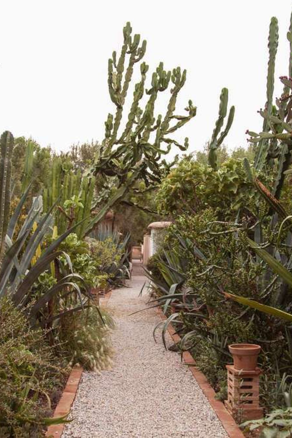 DAR EL HOSSOUN TAROUDANT la maison 3